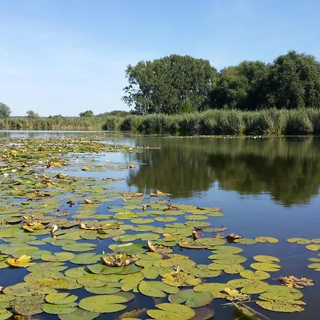 Nyaraló Hausboot-schwimmendes-ferienhaus-im-havelbogen-haus-auf-dem-wasser Kützkow