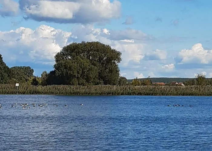 Hausboot-schwimmendes-ferienhaus-im-havelbogen-haus-auf-dem-wasser بيت للعطل Kutzkow