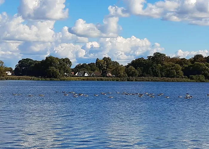 بيت للعطل Hausboot-schwimmendes-ferienhaus-im-havelbogen-haus-auf-dem-wasser *